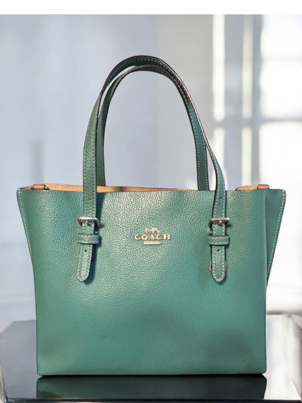 Coach Mollie Tote 25 - Picture 12 of 16